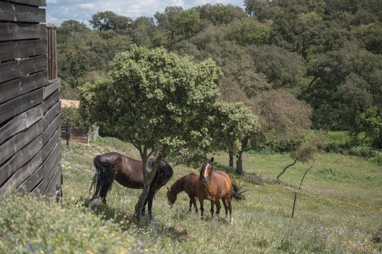 Monte Gois Country House E Spa Curvatos Zewnętrze zdjęcie