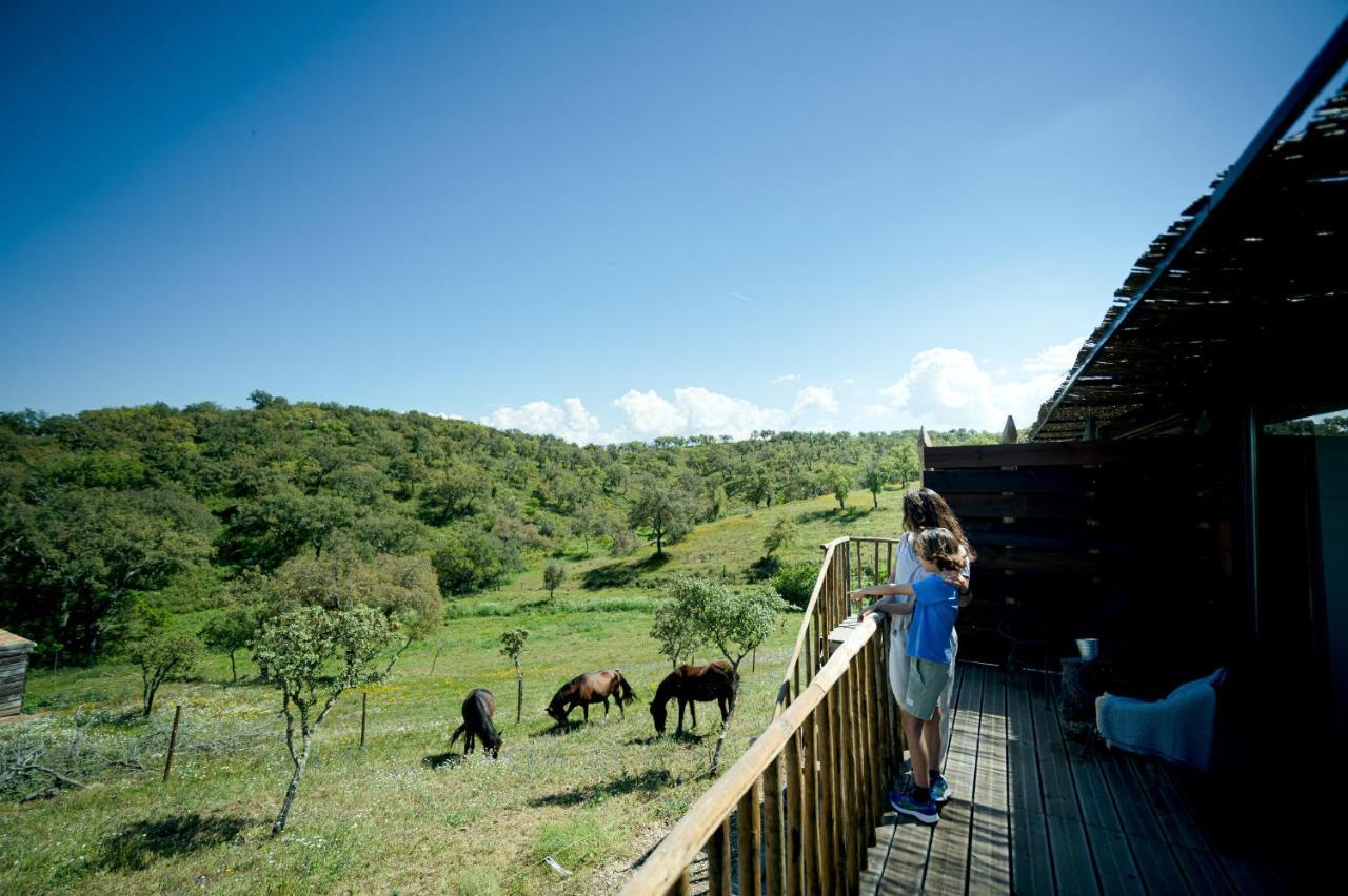 Monte Gois Country House E Spa Curvatos Zewnętrze zdjęcie