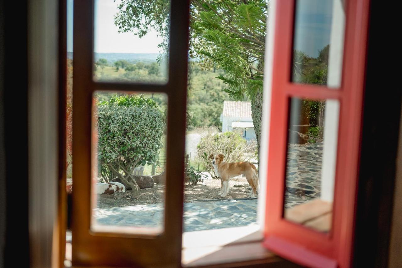 Monte Gois Country House E Spa Curvatos Zewnętrze zdjęcie
