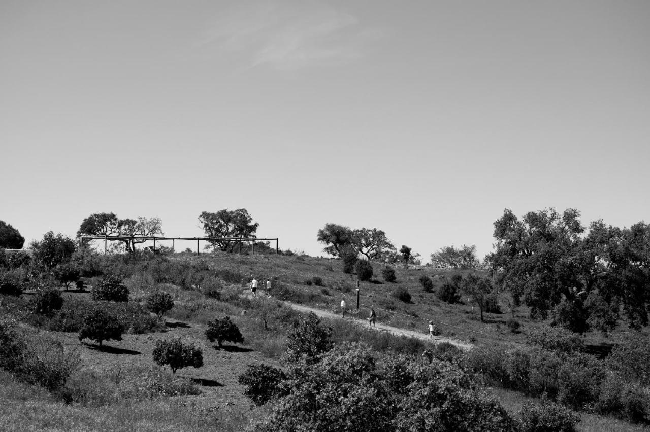 Monte Gois Country House E Spa Curvatos Zewnętrze zdjęcie